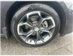 2022 Chevrolet Malibu LT (Stk: 250169A) in Ottawa - Image 12 of 19