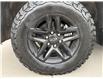 2020 Chevrolet Silverado 1500 LT Trail Boss (Stk: S201A) in Blenheim - Image 10 of 30