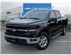 2024 Ford F-150 XLT (Stk: M25-0229P) in Chilliwack - Image 1 of 18