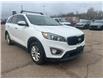 2016 Kia Sorento 2.4L LX (Stk: 25-131-1) in Pembroke - Image 3 of 14