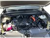 2024 Toyota Grand Highlander Hybrid XLE (Stk: M5757) in Sarnia - Image 19 of 43