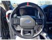 2023 Ford F-150 Raptor (Stk: 8158) in Moose Jaw - Image 17 of 34