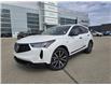 2025 Acura RDX Platinum Elite A-Spec (Stk: 10080) in Saskatoon - Image 1 of 25