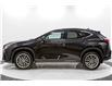 2025 Lexus NX 350 Base (Stk: 084017) in Brampton - Image 13 of 25