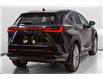 2025 Lexus NX 350 Base (Stk: 084017) in Brampton - Image 9 of 25