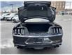 2022 Ford Mustang GT Premium (Stk: 250473) in Ottawa - Image 13 of 28