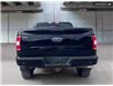 2019 Ford F-150 XLT (Stk: T4239A) in Kamloops - Image 5 of 26