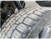 2019 Ford F-150 XLT (Stk: T4239A) in Kamloops - Image 7 of 26