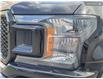 2019 Ford F-150 XLT (Stk: T4239A) in Kamloops - Image 8 of 26