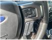 2019 Ford F-150 XLT (Stk: T4239A) in Kamloops - Image 16 of 26