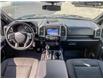 2019 Ford F-150 XLT (Stk: T4239A) in Kamloops - Image 24 of 26