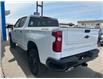 2025 Chevrolet Silverado 1500 Custom Trail Boss (Stk: 25103) in Moosomin - Image 9 of 12
