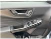 2025 Ford Escape Active (Stk: LFEP00925) in Tilbury - Image 6 of 15