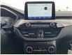 2025 Ford Escape Active (Stk: LFEP00925) in Tilbury - Image 13 of 15