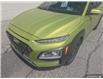 2019 Hyundai Kona 1.6T Ultimate (Stk: TT5653) in Sarnia - Image 8 of 22