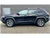 2019 Jeep Cherokee Trailhawk (Stk: 24494DA) in London - Image 3 of 34