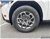 2025 Ford Maverick XLT (Stk: 27000) in Dartmouth - Image 7 of 24