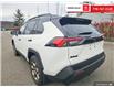 2025 Toyota RAV4 Hybrid XLE (Stk: P3413) in Courtenay - Image 12 of 26