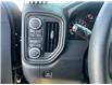 2025 GMC Sierra 1500 Pro (Stk: 267363) in Fort MacLeod - Image 10 of 21