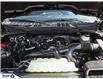 2025 Ford F-150 XLT (Stk: 6-25FT0460) in Whitby - Image 7 of 29