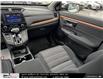 2019 Honda CR-V EX (Stk: A2501111) in North York - Image 29 of 29