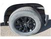 2023 Nissan Frontier SV (Stk: 24S179A) in Medicine Hat - Image 13 of 25