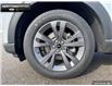 2025 Ford Explorer Active (Stk: 5EX0111) in Brantford - Image 6 of 23