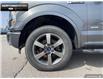 2016 Ford F-150 XLT (Stk: 4F18902A) in Brantford - Image 6 of 21