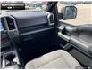 2016 Ford F-150 XLT (Stk: 4F18902A) in Brantford - Image 21 of 21