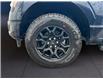 2025 Ford F-150 XLT (Stk: 12081) in Golden - Image 16 of 17