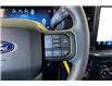 2024 Ford F-150 STX (Stk: P20050) in Vancouver - Image 20 of 36