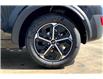 2025 Kia Niro Plug-In Hybrid EX Premium (Stk: SNR8987) in Sherwood Park - Image 11 of 15