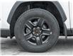 2022 Toyota RAV4 LE (Stk: 7702) in Newmarket - Image 4 of 22