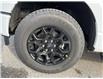 2025 Ford F-150 XLT (Stk: VF1F00766) in Chatham - Image 7 of 21