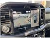 2025 Ford F-150 XLT (Stk: VF1F00766) in Chatham - Image 20 of 21