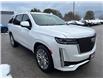 2022 Cadillac Escalade Premium Luxury (Stk: 0171P) in Meaford - Image 3 of 15