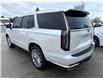 2022 Cadillac Escalade Premium Luxury (Stk: 0171P) in Meaford - Image 7 of 15