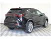 2025 Lexus NX 350 Base (Stk: 15104634) in Richmond Hill - Image 8 of 12