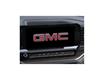 2025 GMC Sierra 1500 Elevation in Sundridge - Image 20 of 24