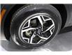 2025 Kia Sportage LX (Stk: 26077) in Edmonton - Image 7 of 19