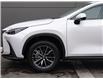2025 Lexus NX 350 Base (Stk: NX0025) in Windsor - Image 3 of 26