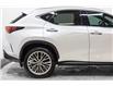 2025 Lexus NX 350 Base (Stk: 081999) in Brampton - Image 7 of 24