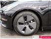 2021 Tesla Model 3 Standard Range Plus (Stk: 64933A) in Ottawa - Image 7 of 20