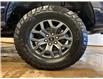 2025 Ford F-150 Tremor (Stk: 25LT10) in St.Paul - Image 10 of 10