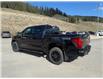 2025 Ford F-150 XLT (Stk: 5T040) in Williams Lake - Image 3 of 12