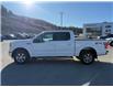 2017 Ford F-150 XLT (Stk: 4T200A) in Williams Lake - Image 2 of 13