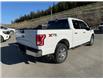 2017 Ford F-150 XLT (Stk: 4T200A) in Williams Lake - Image 5 of 13