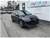 2023 Ford Escape Platinum (Stk: 250379) in North Bay - Image 1 of 21