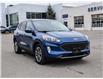 2022 Ford Escape SEL (Stk: VF00263A) in Chatham - Image 7 of 28