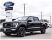 2022 Ford F-150 Lariat (Stk: VF00284R) in Chatham - Image 1 of 35